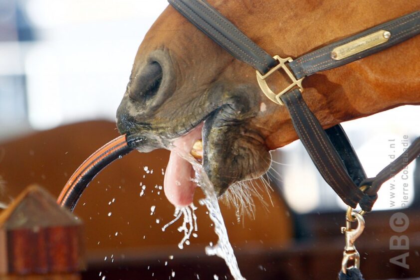 Drinken, Water